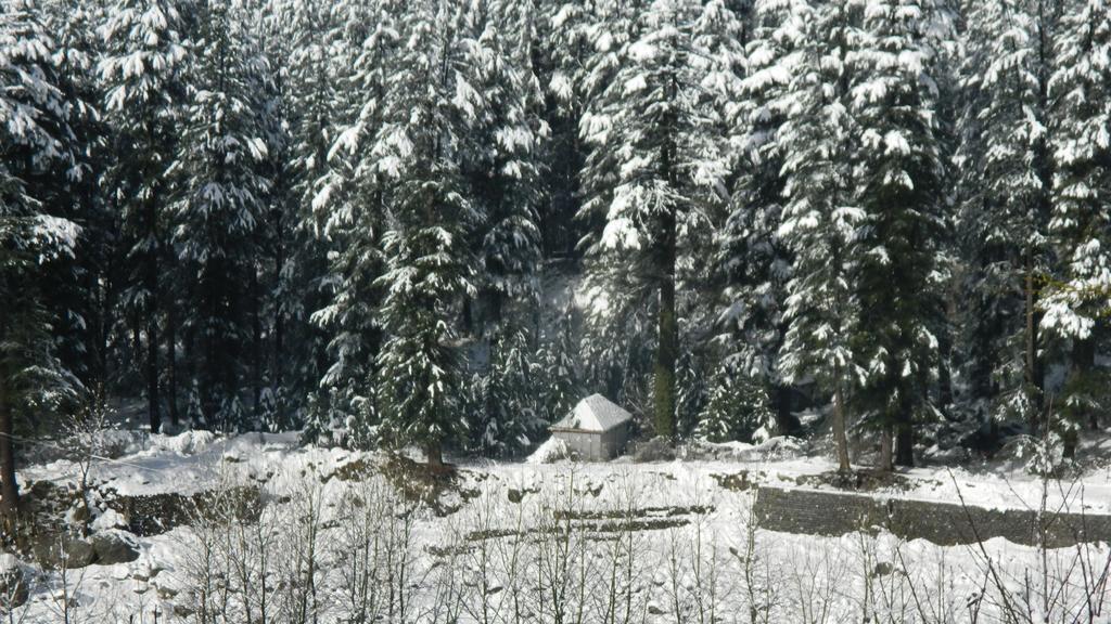 Chichoga Holiday Inn Manali  Exterior photo